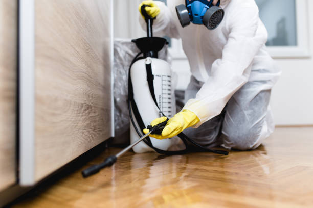 Best Local Pest Control Services  in Kalispell, MT