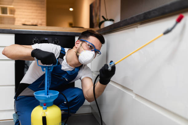 Best Residential Pest Control  in Kalispell, MT