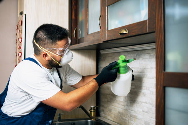 Best Flea Control Services  in Kalispell, MT
