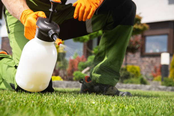 Best Residential Pest Control  in Kalispell, MT