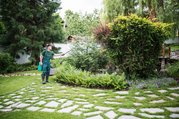 Best Cockroach Control Services  in Kalispell, MT