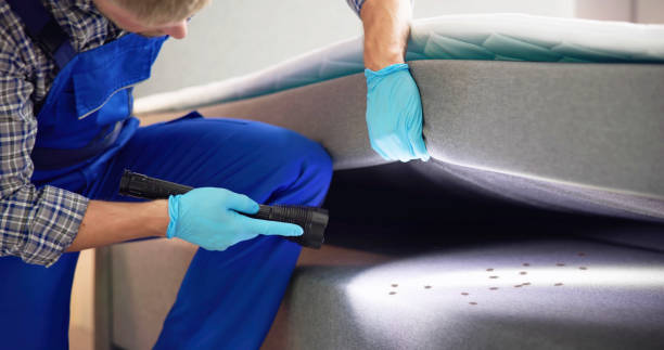 Best Pest Prevention Services  in Kalispell, MT