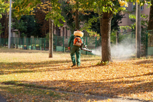 Best Rat Extermination Near Me  in Kalispell, MT