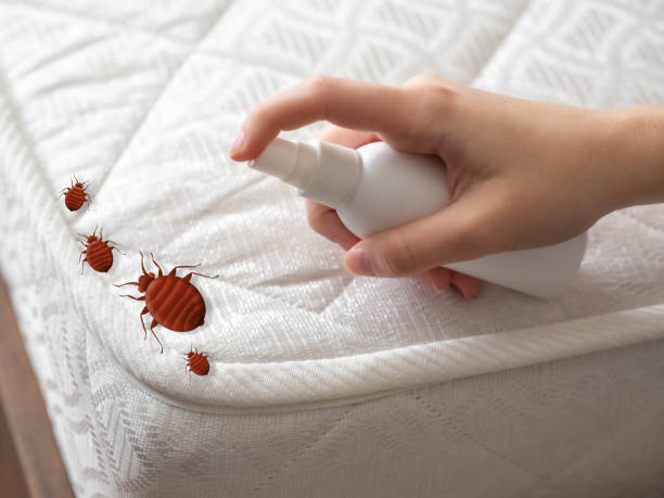 Best Commercial Pest Control Services  in Kalispell, MT